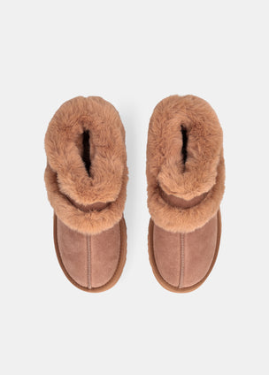 WARM MULES