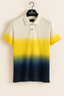 IMPULSO POLO