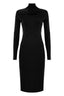 ELEGANT SLIMLINE HIGH NECK SWEATER DRESS - DRESS AREZIA