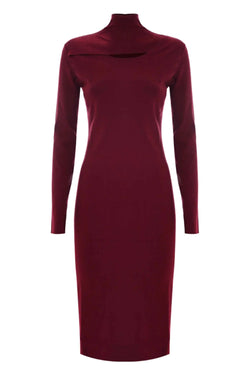 ELEGANT SLIMLINE HIGH NECK SWEATER DRESS - DRESS AREZIA
