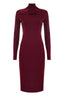 ELEGANT SLIMLINE HIGH NECK SWEATER DRESS - DRESS AREZIA
