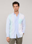 REGULAR FIT STRIPED OXFORD SHIRT